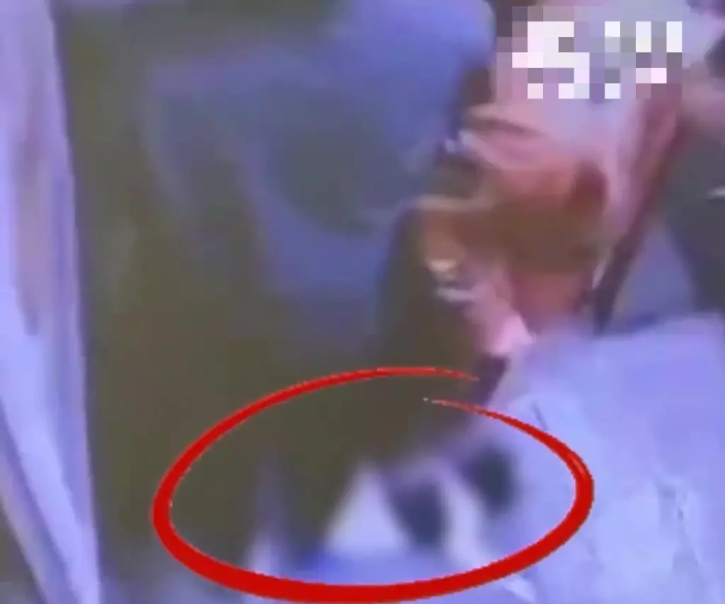 河南冷血母子升降机狂踩流浪猫致死 闭路电视揭接力施虐8分钟