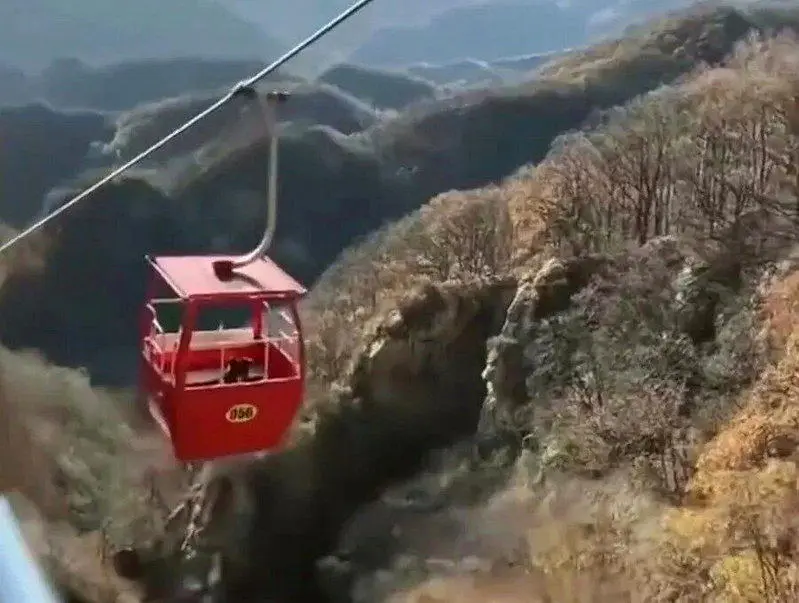 河北景区1只黑狗独自搭缆车上山 网友围观：爬山太累