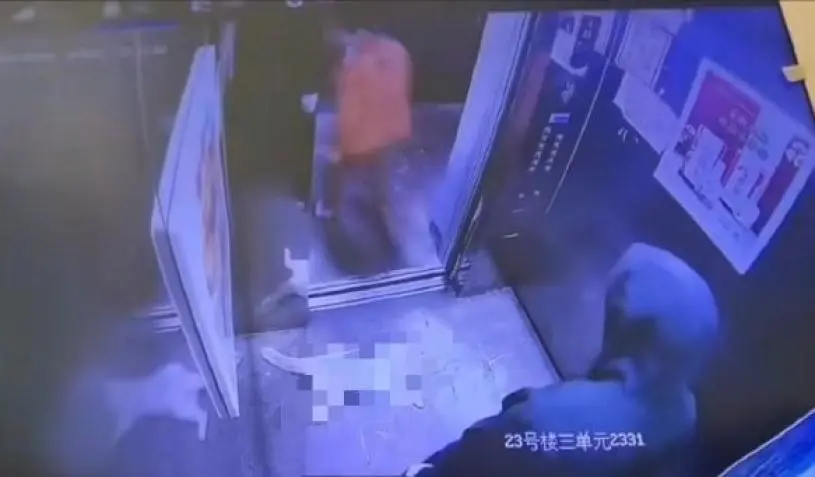河南冷血母子升降机狂踩流浪猫致死 闭路电视揭接力施虐8分钟