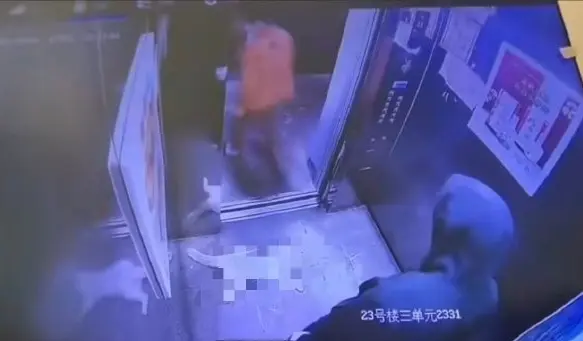 河南冷血母子升降机狂踩流浪猫致死 闭路电视揭接力施虐8分钟