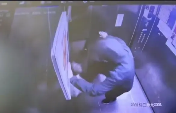 河南冷血母子升降机狂踩流浪猫致死 闭路电视揭接力施虐8分钟