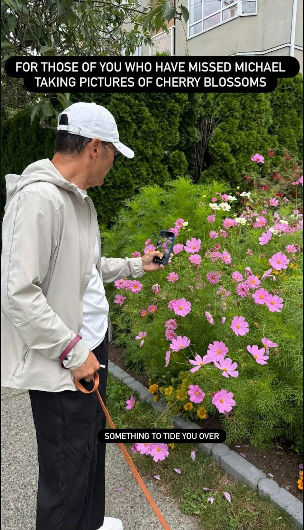 68岁苗侨伟加拿大退休生活曝光，遛狗赏花好惬意，两鬓花白仍健硕