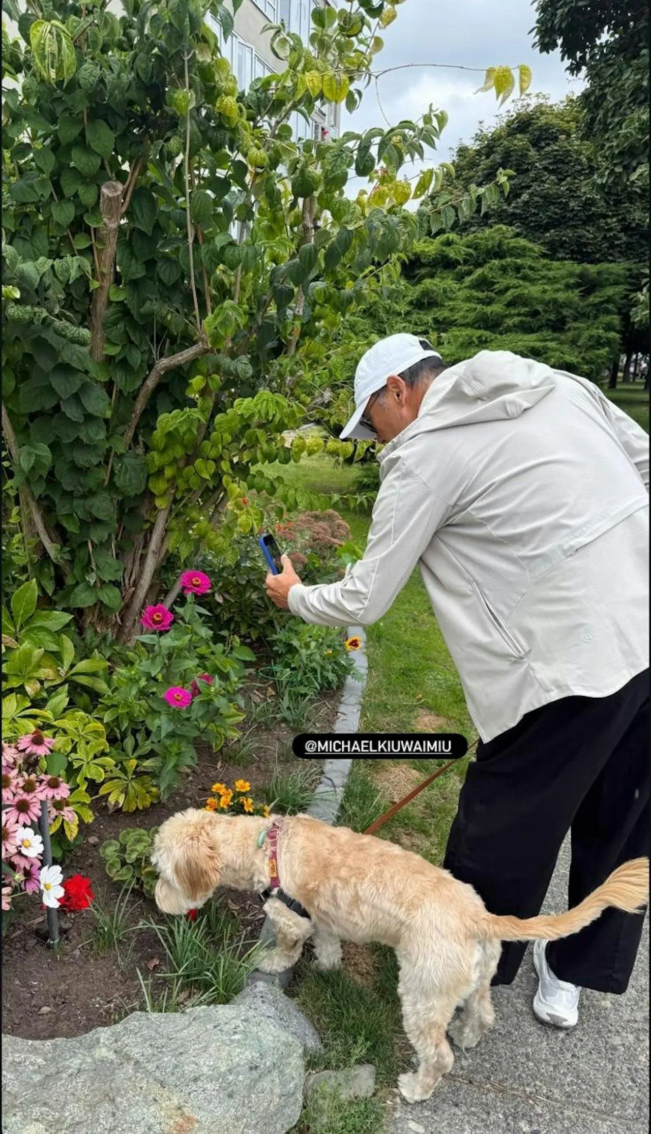 68岁苗侨伟加拿大退休生活曝光，遛狗赏花好惬意，两鬓花白仍健硕