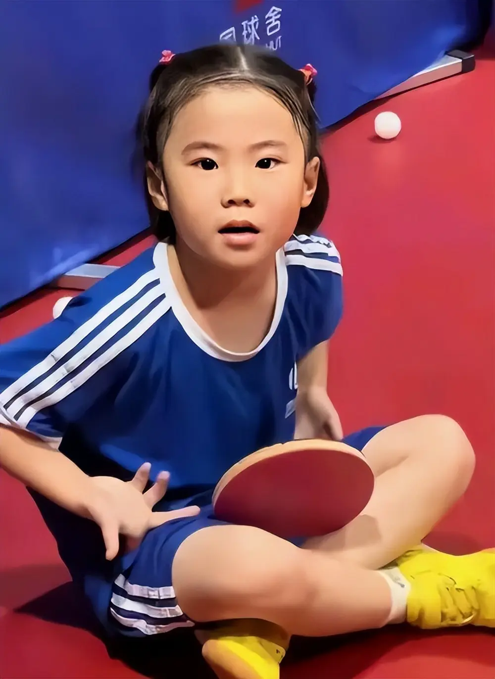 王楠现状：在内蒙古租房住，女儿进省队试训