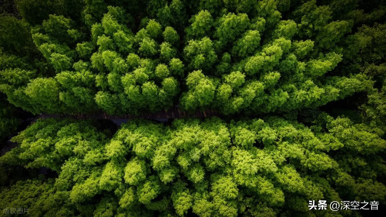 世界上最接近地狱的国家：对中国人免签，却没人敢去