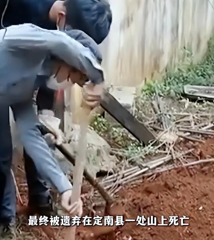 电诈头目刘忍：明面商会会长，背地坑害无数中国同胞